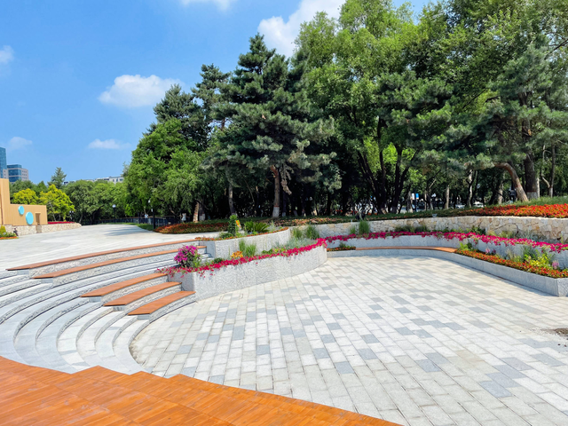 推窗见绿，出门入园，新民大街沿街13座口袋公园：百年街区里生长的绿色文化生态链