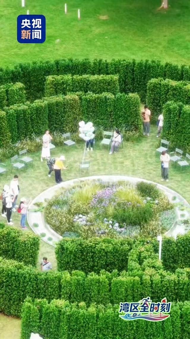 花容“粤”貌 大湾区如何“再造”一个春天