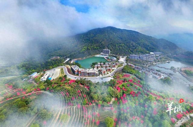 速来打卡！推荐云浮当地五家省级乡村酒店
