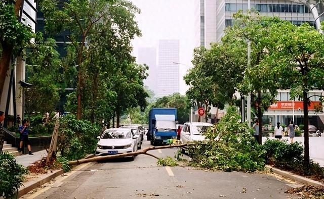 有人预测：不出意外	，2月开始将呈现5大现象，老百姓需做好准备
