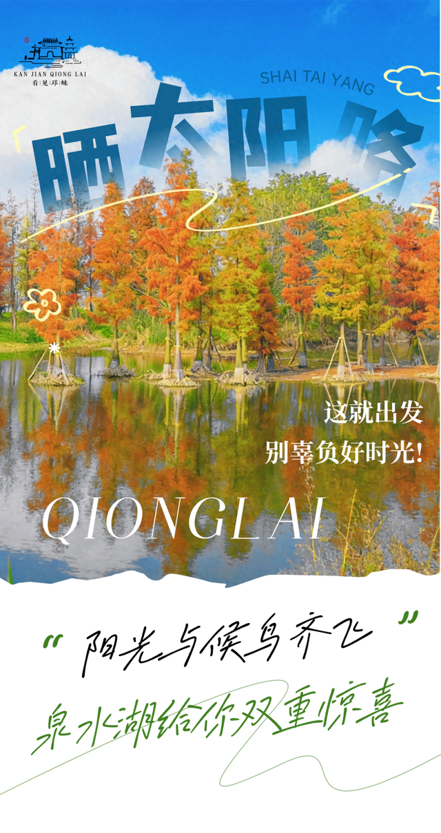 冬崃｜阳光与候鸟齐飞！泉水湖给你双重惊喜～