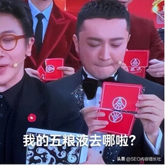 天水seo快速排名（回顾2024年那些热点事件）