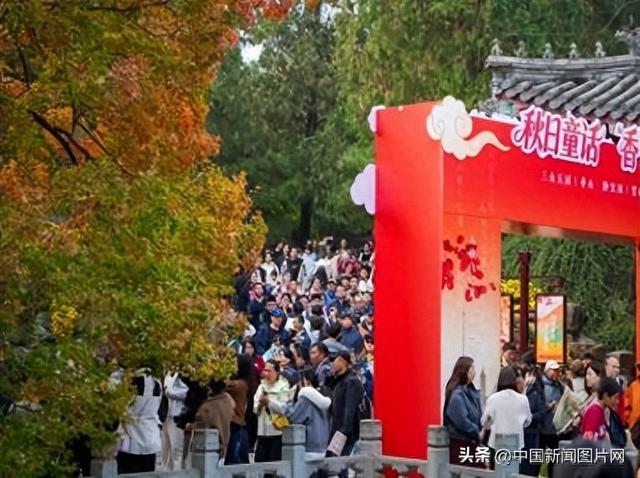 霜降染秋色，层林尽染正当时——香山公园进入红叶最佳观赏期