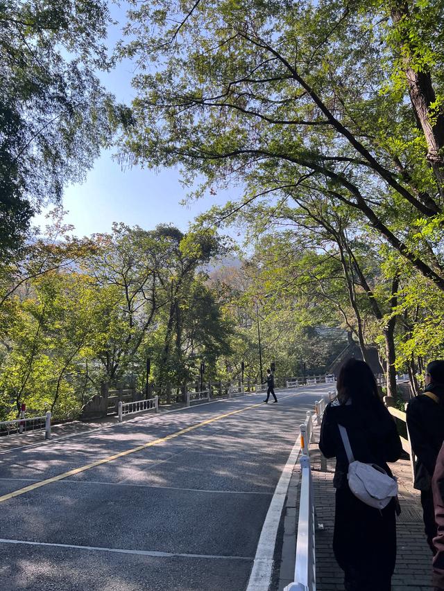 上天竺到云栖竹径，徒步9公里，感受一路秋意。