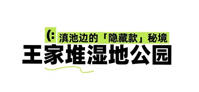 来西山区这些宝藏公园,感受治愈秋色