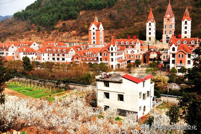 春风有信，花开有期：月照养生谷樱桃花海绘就春日浪漫图鉴