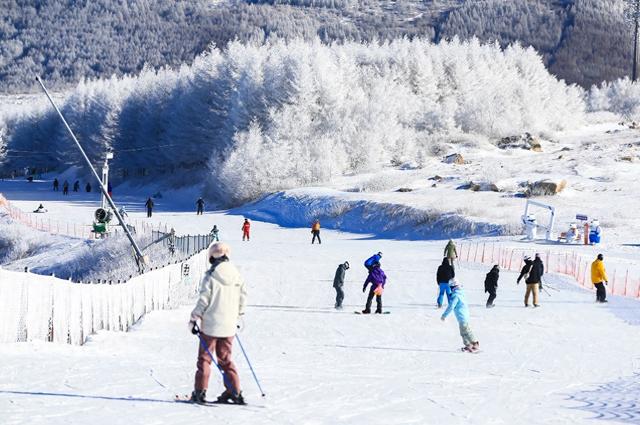 冬日经济｜冰雪游成“双循环”新引擎：入境订单翻倍增长、小雪场订单增2.6倍