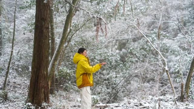 明月山下雪啦→1月20日雾凇、雪景、山岚如约而至！