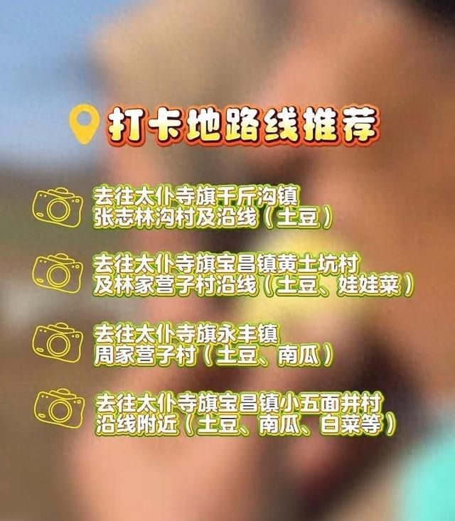 国庆长假土豆没捡够？内蒙古太仆寺旗文旅局发布4条“捡土豆”路线