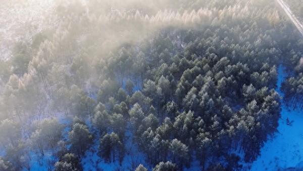黑河市爱辉区：林海雾凇入画来