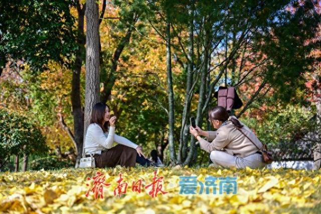 大明湖畔成“会客厅” 亲子互动游客打卡同绘温暖画卷