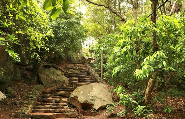 广州有个依山而建的公园，适合夏天徒步乘凉，坐地铁直达