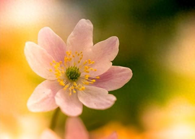 心理学：男女交往，为什么要远离“偏执型人格障碍	”的人？