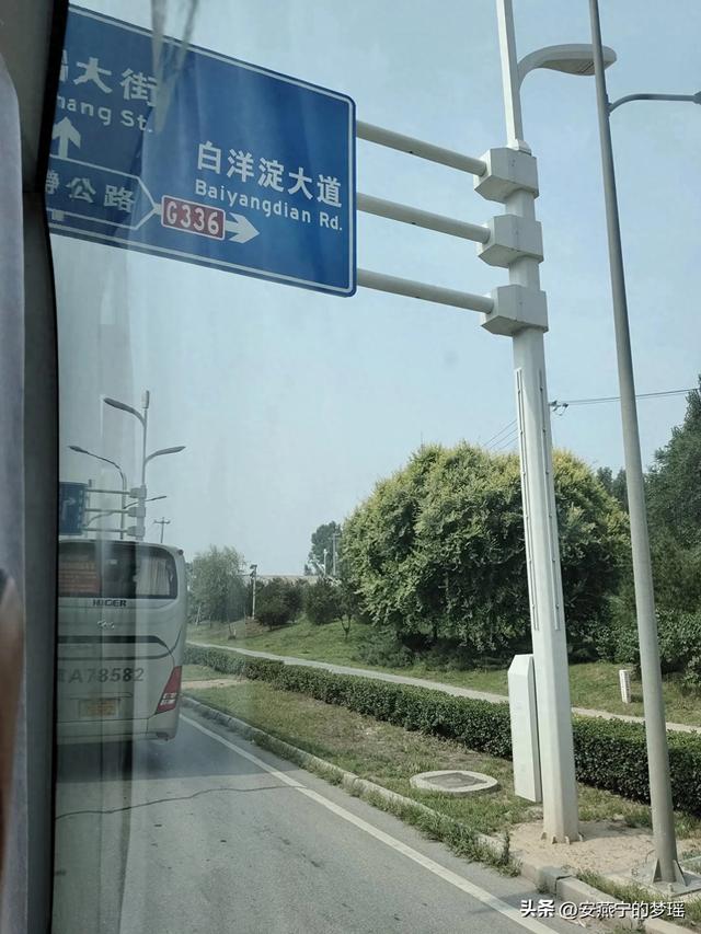 白洋淀之行