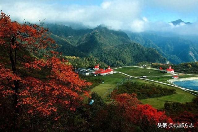 免门票！限定绝美秋色，错过等一年→