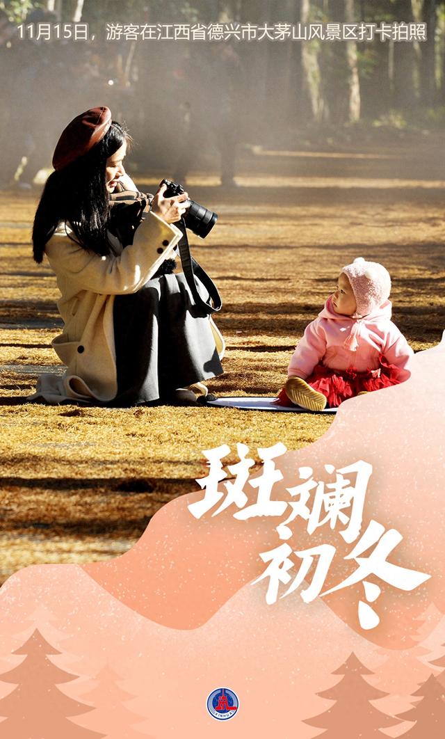 （图表·海报）斑斓初冬（2）