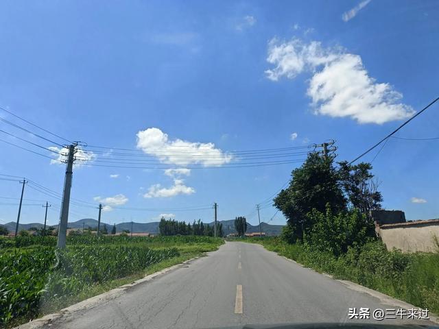 无为在歧路，章丘东南行