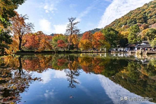 香妃链破解版清软（当代散文秋日已现 无限光艳）