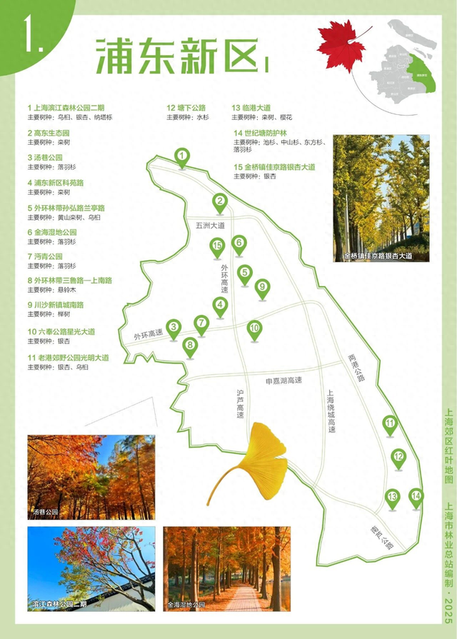 申城郊区红叶地图新鲜出炉 带你走进五彩金秋