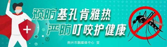 “楚韵千年”引客来   荆州擘画文旅发展新蓝图