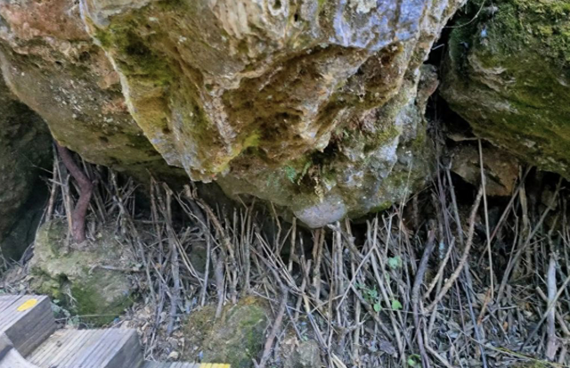 在南方的很多山区，为何总能见到大石头被小木棍撑着？有啥说法吗