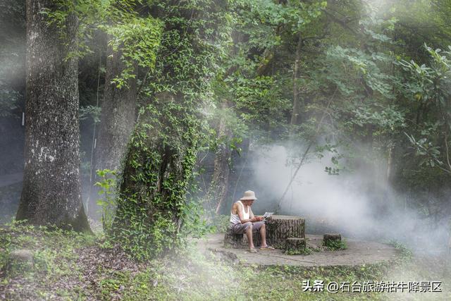 牯牛降 | 来了便不想离开