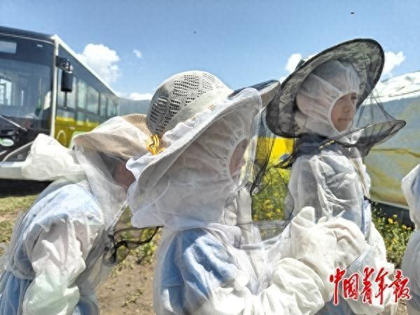 他们给孩子提供甜味研学旅行