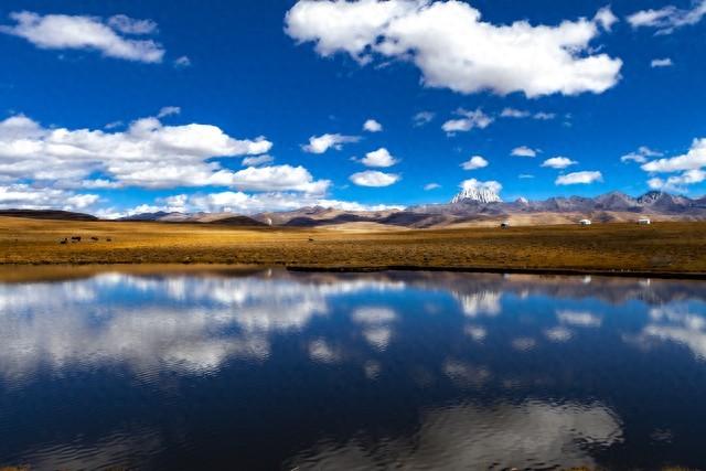 爱自己……爱生活