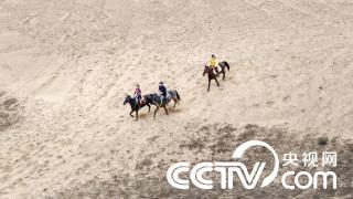 南昌滩涂现“沙漠”景观 市民骑马驰骋享乐