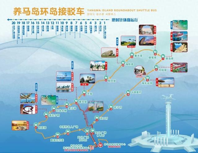 事关团队游客，养马岛接驳车免费政策调整！