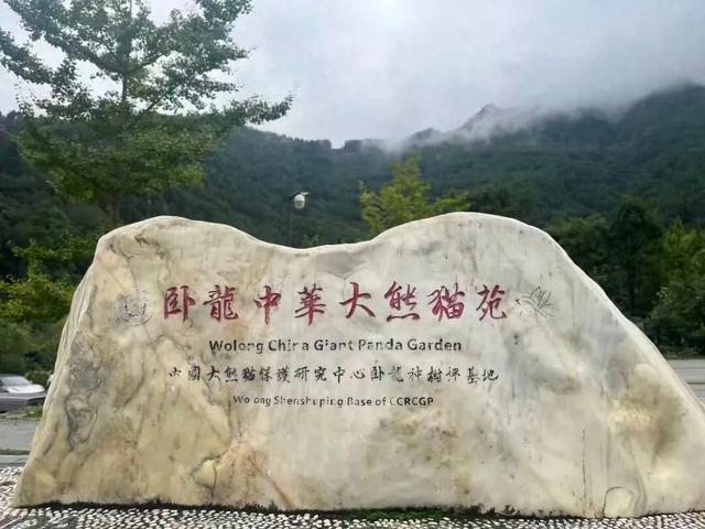 免票继续！卧龙中华大熊猫苑对6城青少年免费开放