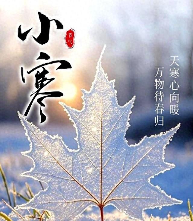 小寒：岁月安暖度冬深，满心欢喜待新春