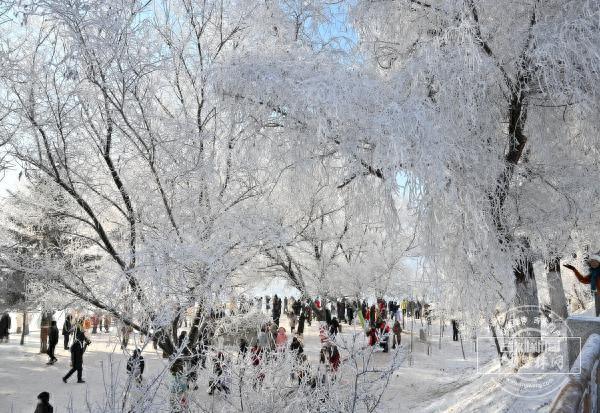 冰雪微笑曲线｜吉林市：雾凇凝诗画 雪道竞风流