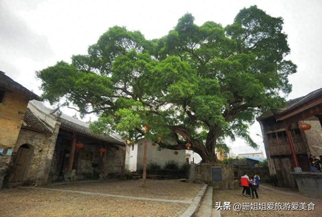 清远连州千年古村：三省交汇咽喉要道，两明清古街藏古商道记忆