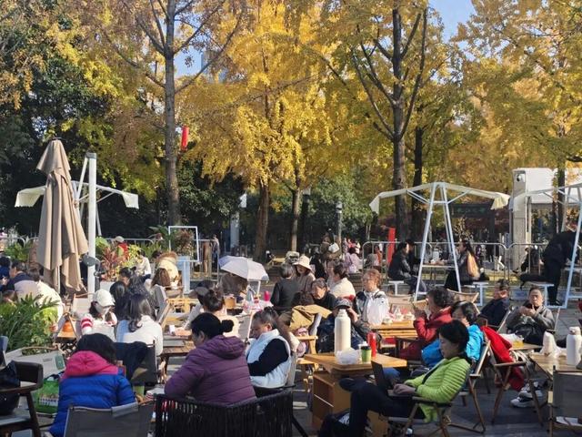 这个博物馆“小碗菜”火爆出圈，体验者众多