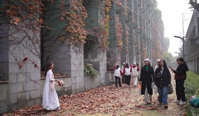 快冲！高铁峨眉山站旁藏着一处“秘境”，森系“魔法墙”超出片！