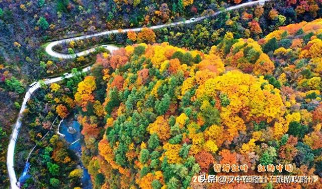 这个秋天，与黎坪红叶撞个满怀！