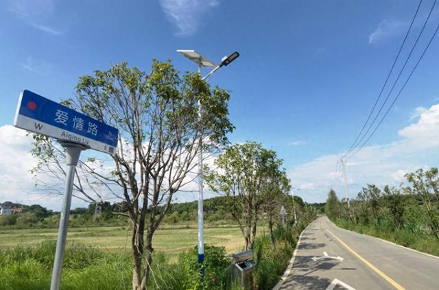 大武汉一日︱一抬头，遇见“爱情”