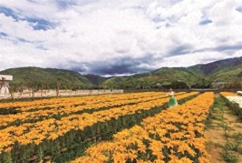 13万株鲜花绽放太阳湖畔
