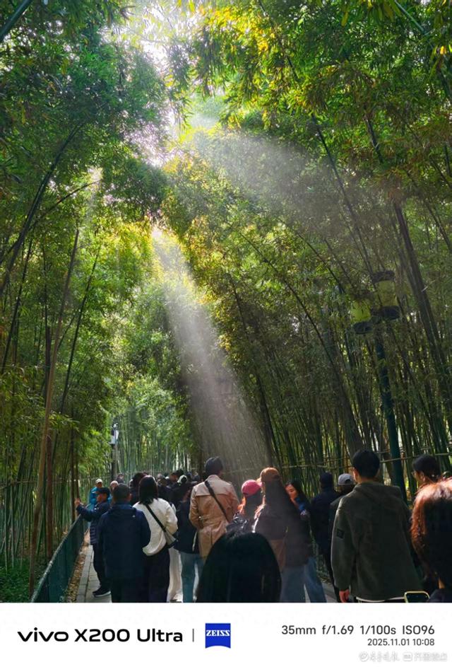 趵突泉公园里游人如织，我在记录