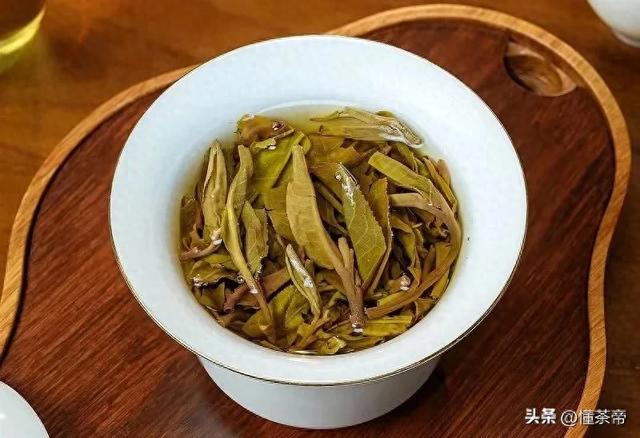 普洱破解版游戏大全（史上最全普洱茶盖碗冲泡测评不同普洱茶怎么泡最好喝）