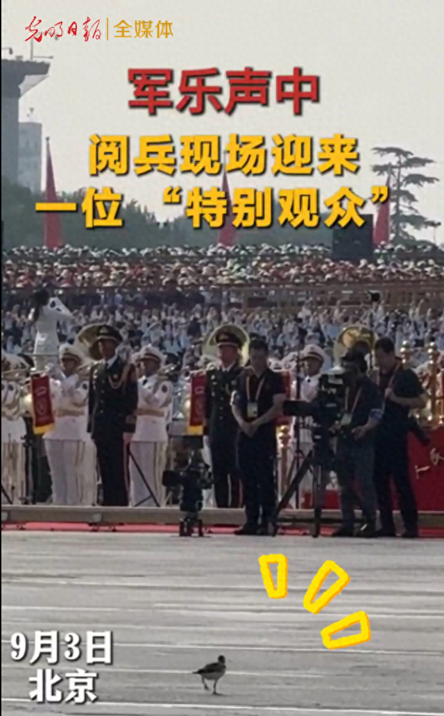 九三阅兵现场，出现一位“特别观众”？