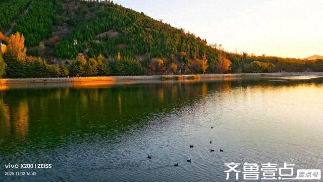 壹点号·秀山东｜汶河湿地秋韵：诗意与灵动画卷的交织
