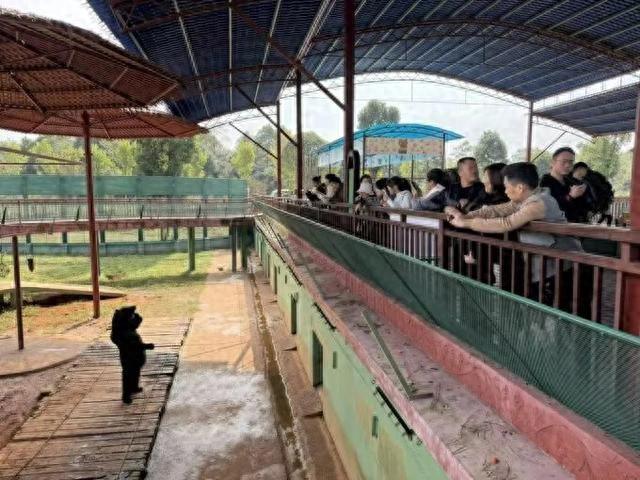 专属福利！汉寿文旅邀全省二孩妈妈免费畅游常德野生动物世界