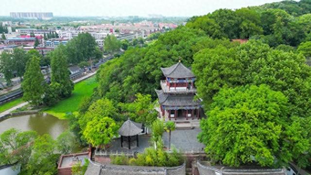 宁白：东坡无人