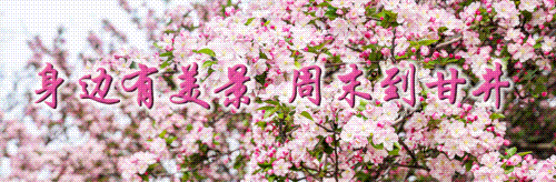 【甘井子全域玩转指南】东部梭鱼湾，一个球场一片海，一站式潮玩新地标，活力满满嗨不停