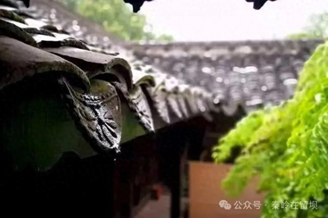 当秋雨掠过秦岭的山脊，汉中悄悄美成写意水墨画