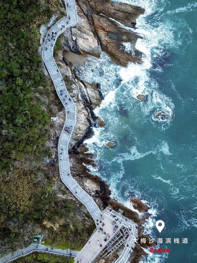 美丽深圳·每日一图｜2025年11月9日