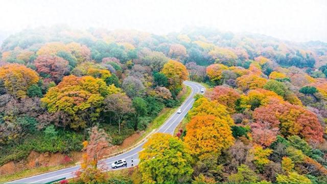 千年文脉“活”起来 国际旅游“火”起来