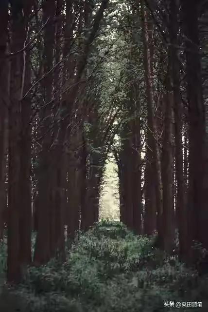 性与命和寿的关系：好命长寿的男人，往往身上有这七种特征